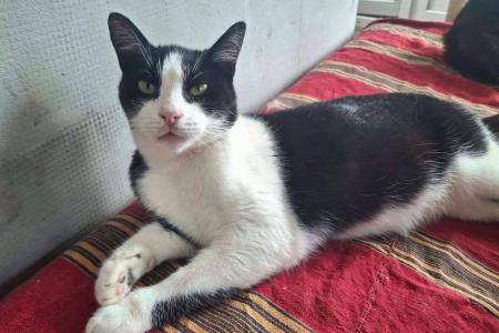 Teaser image