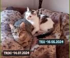 Trixi & Teo (Hilfe für Ganka)
