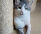 Mischa -reserviert-