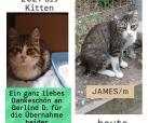 James (von Neviana)