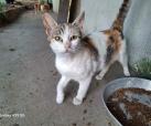 Mylove (von Neviana)