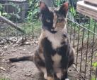 Karma (von Neviana) -reserviert-