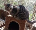 Gabi -reserviert-